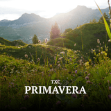 Primavera - TXC