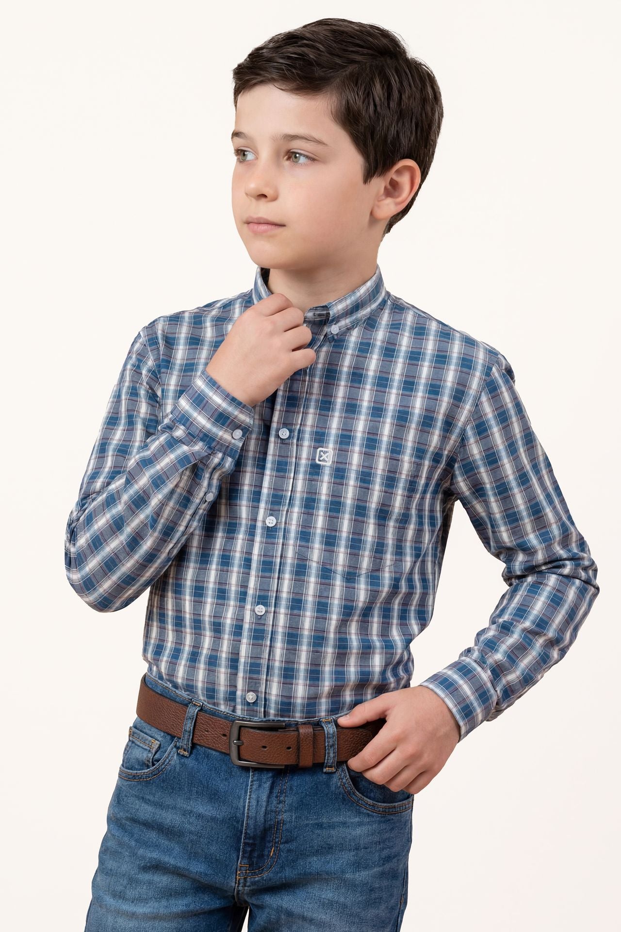 CAMISA  ML REGULAR  29116LI