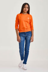 MOLETOM BLUSAO BORDADO 3463i INFANTIL