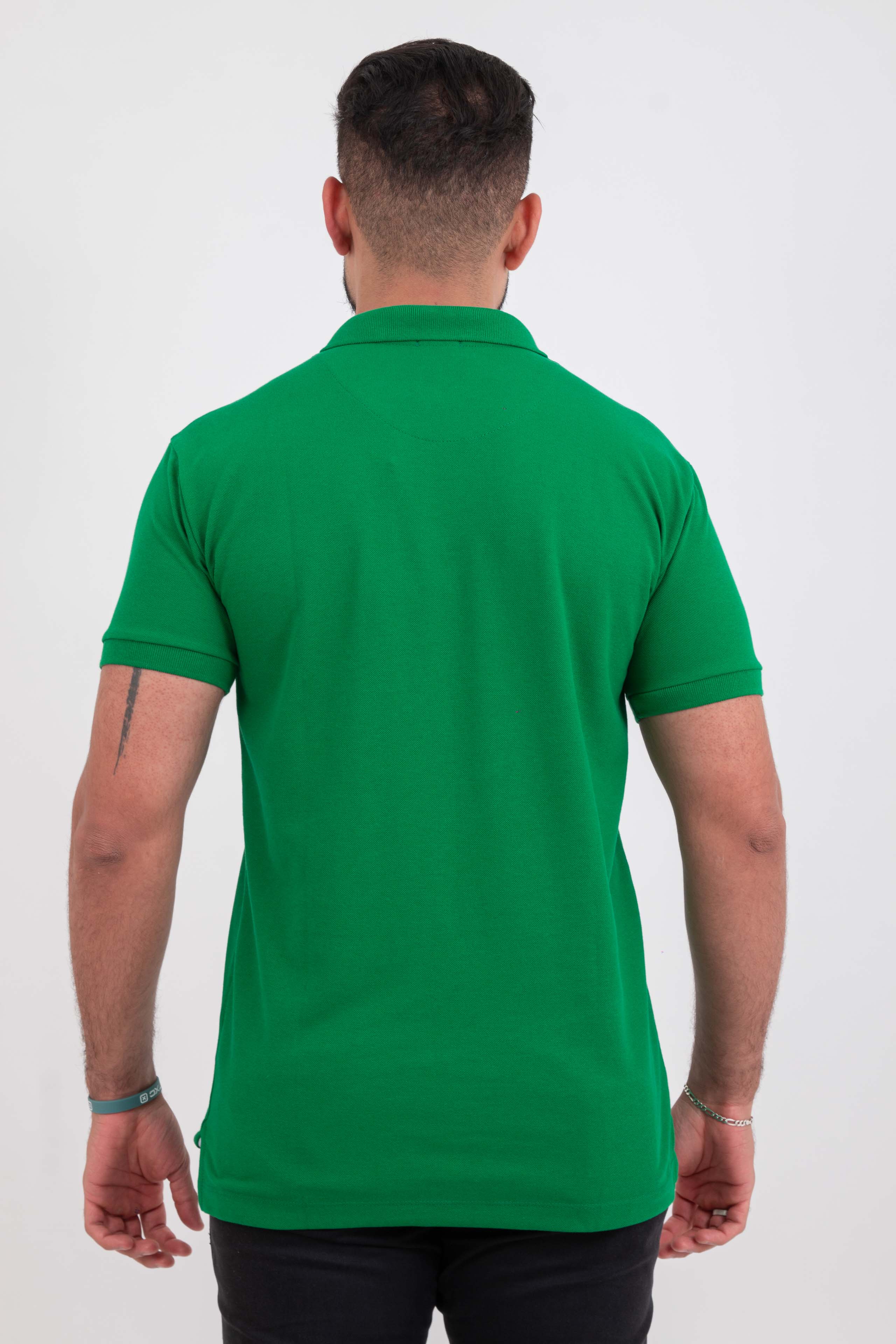 POLO REGULAR PIQUET BORDADA 6905